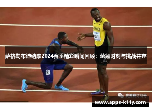 萨格勒布迪纳摩2024赛季精彩瞬间回顾：荣耀时刻与挑战并存